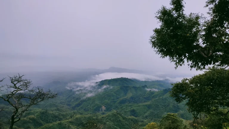 সাজেক ভ্যালির সবুজ পাহাড়ে ভেসে থাকা মেঘ